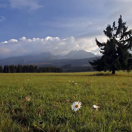 Chaty Tatra