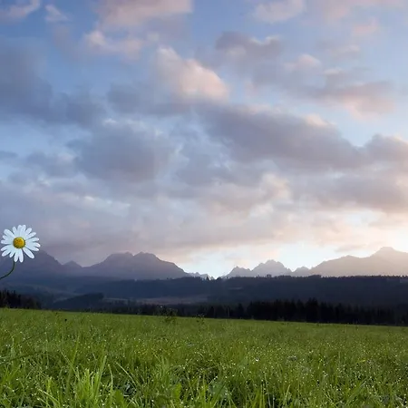 Tatra Casa de hóspedes Tatranska Strba