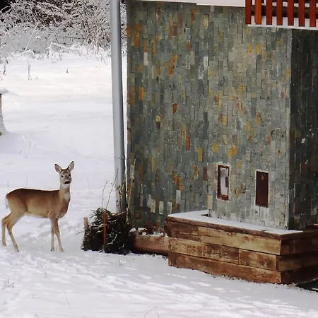 Casa de hóspedes Tatra