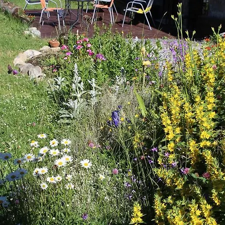 Tatra * Tatranska Strba